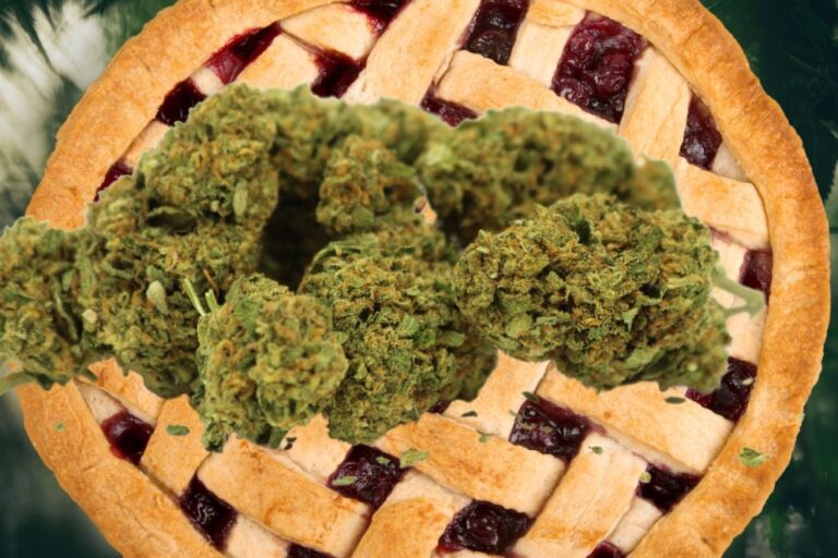 Cherry Pie strain half baked with full flavor GreenState GreenState