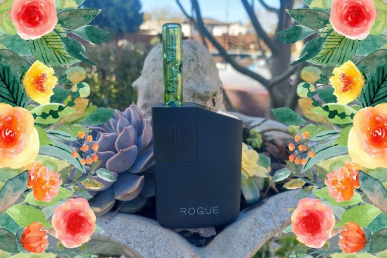Healthy Rips Rogue dry herb vape review GreenState GreenState