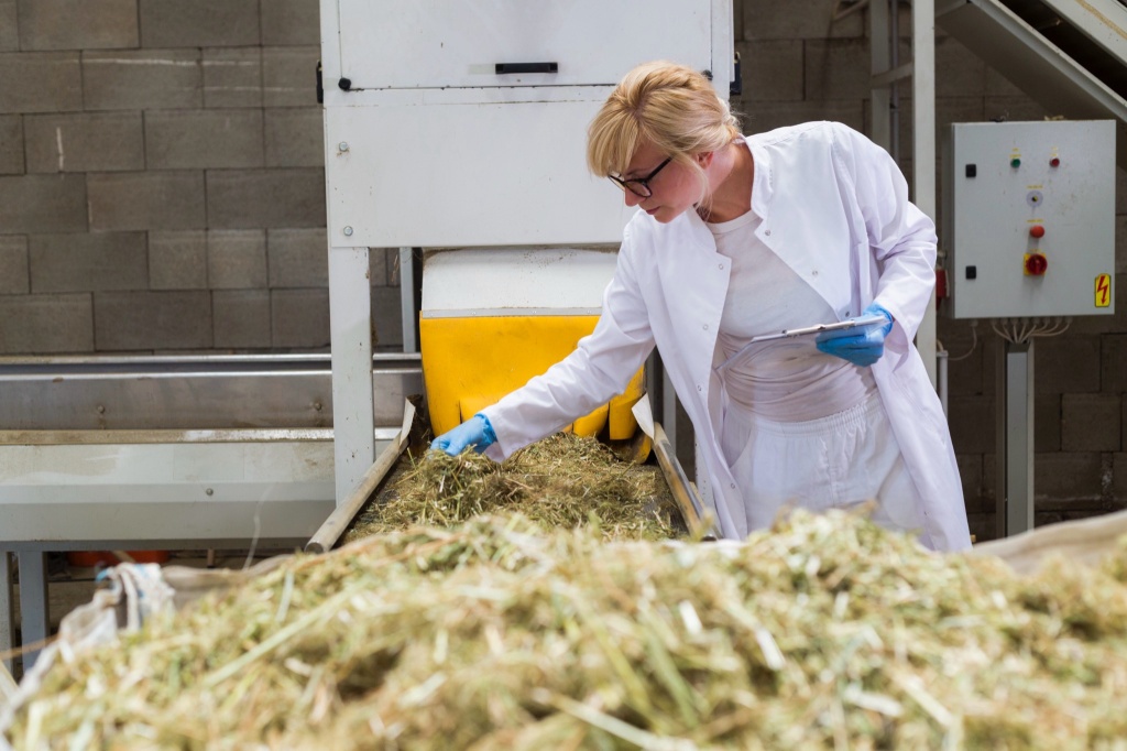 woman inspecting cannabis processor machine