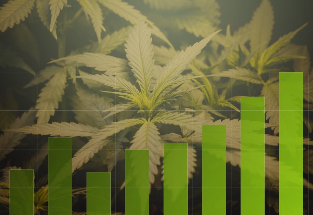 cannabis chart processors profit