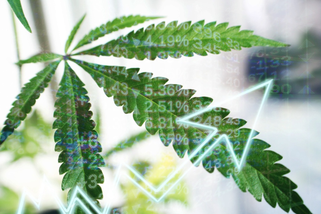 cannabis data