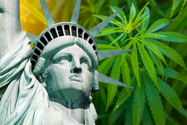 new york dispensaries close
