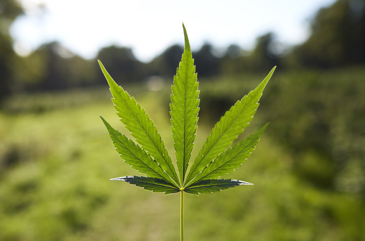 Cannabis rescheduling faces another potential setback