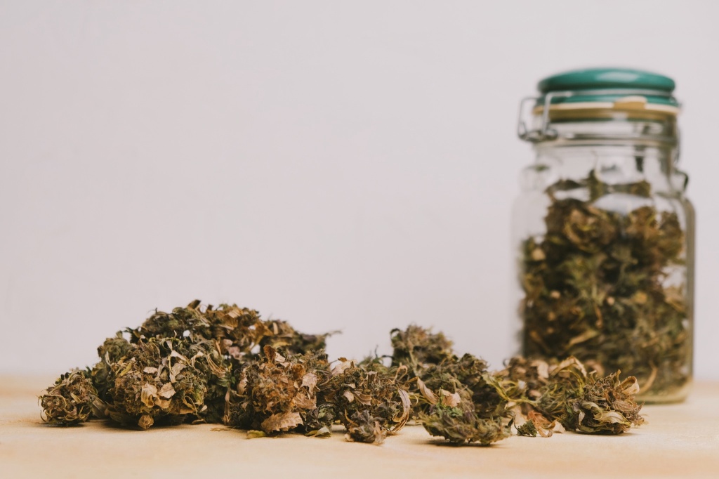 low grade cannabis bud what does bad weed look like example