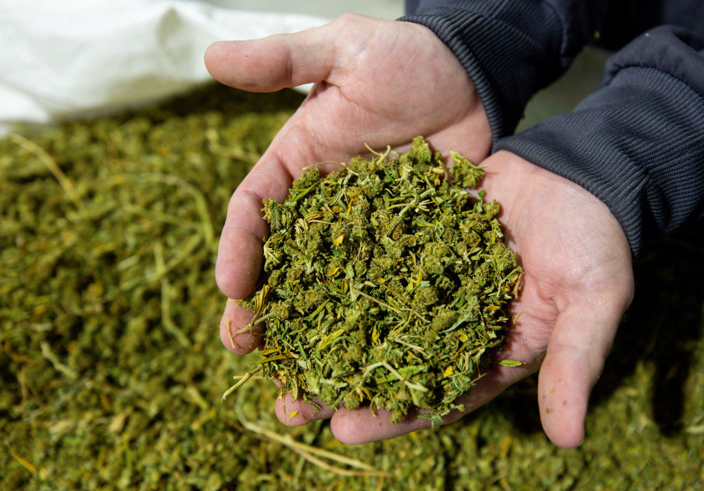 ground cannabis texas thc ban may pass