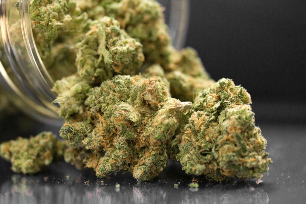 cannabis buds DEA weed reform