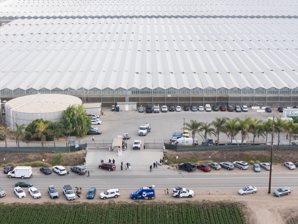 glass house cannabis farm in california site of immigration raids