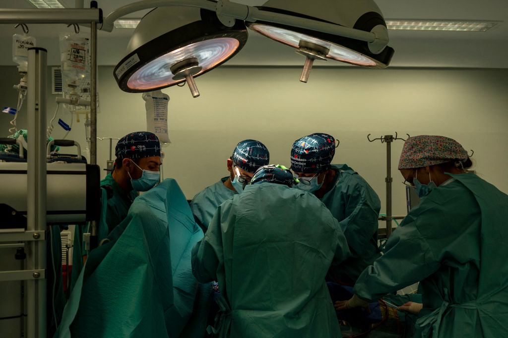 organ transplant surgeons risk for cannabis users