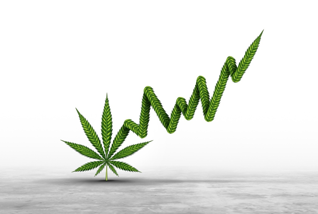 cannabis leaf turning into stock chart data investment