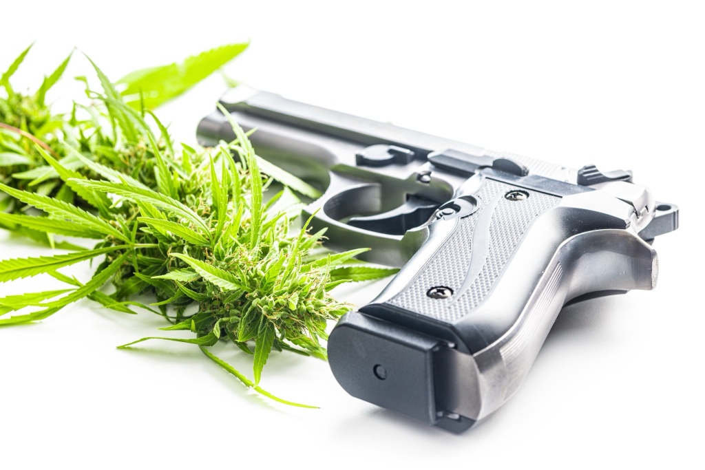 cannabis bud guns federal rule proposal