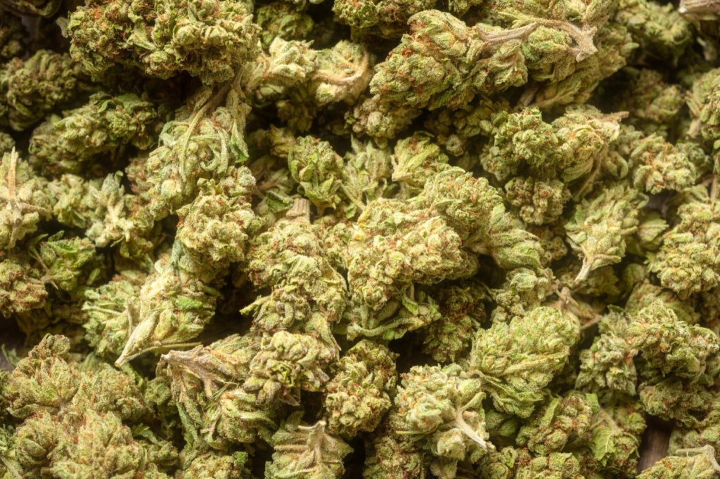 cananbis buds common misconceptions on quality center on THC