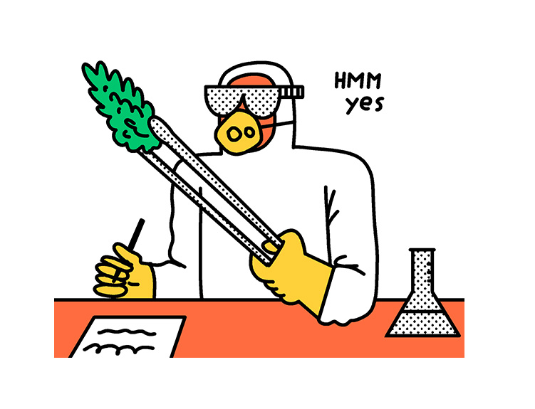 legalization nation 254 preview cannabis research what does rescheduling mean