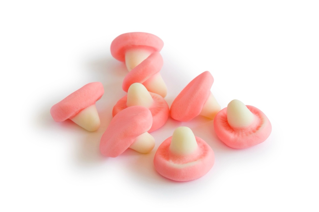 magic mushroom edibles study