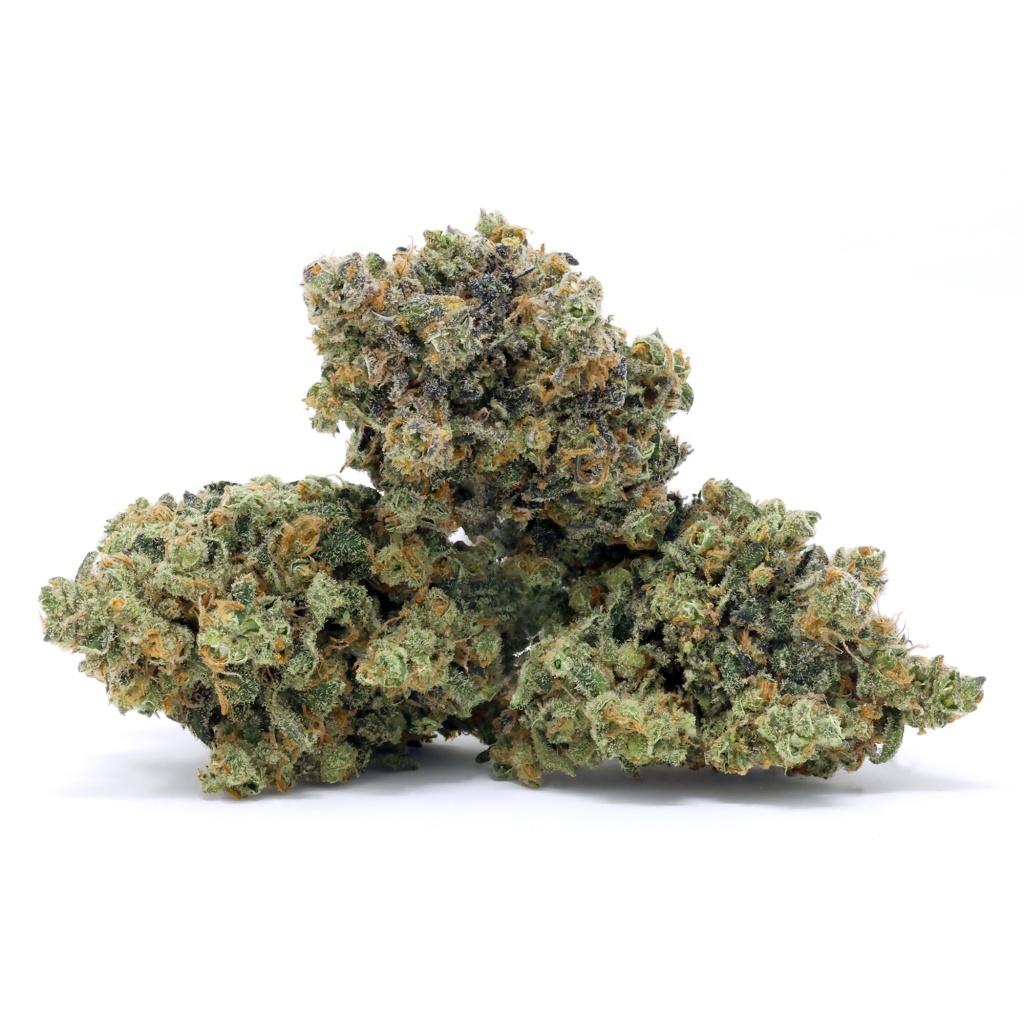 cannabis buds vivi cure promises to help curing process