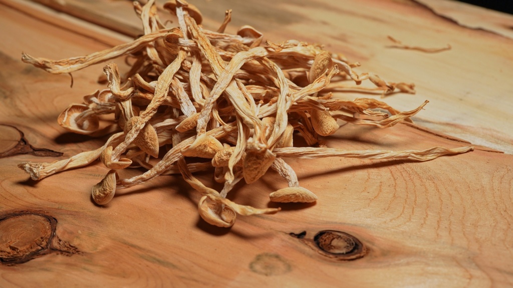 dried magic mushrooms