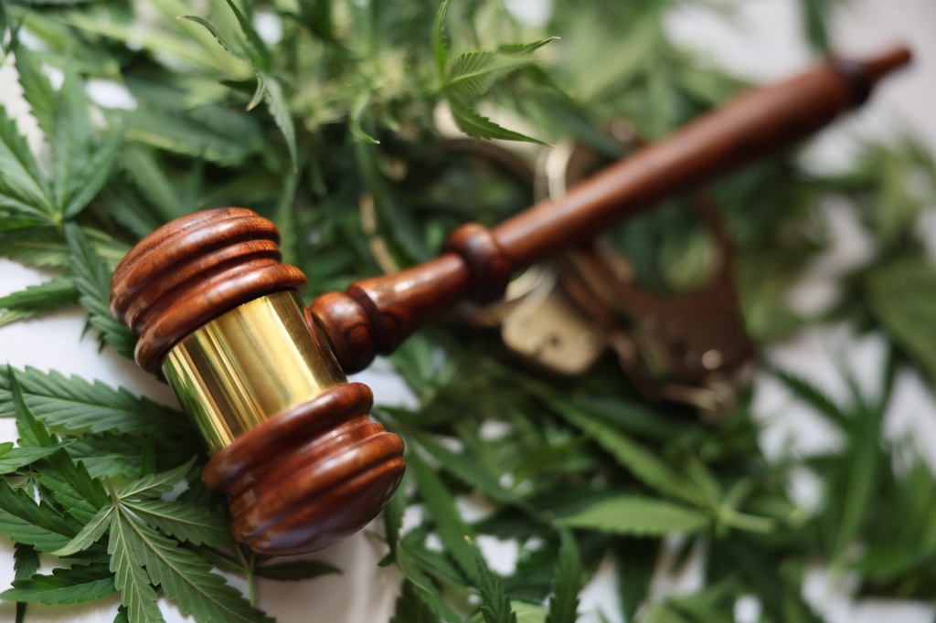 gavel over pot leaves trump policy poll reveals interesting opinions