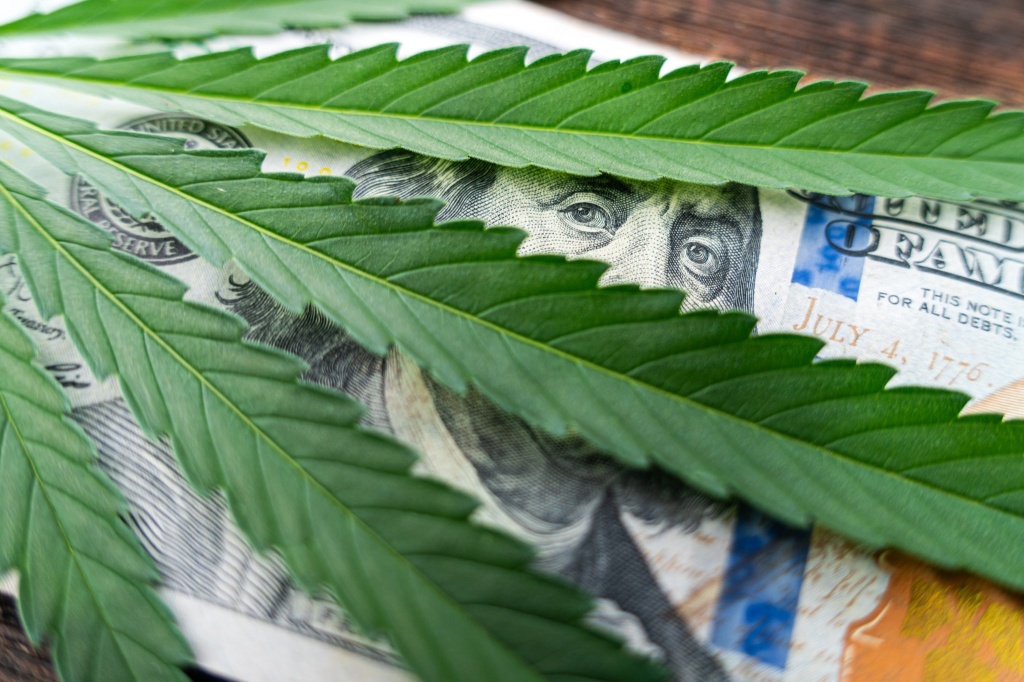 cannabis leaf over money green rush