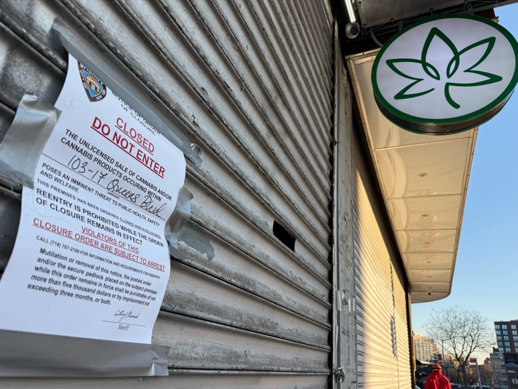 illicit dispensary closed by new york officials