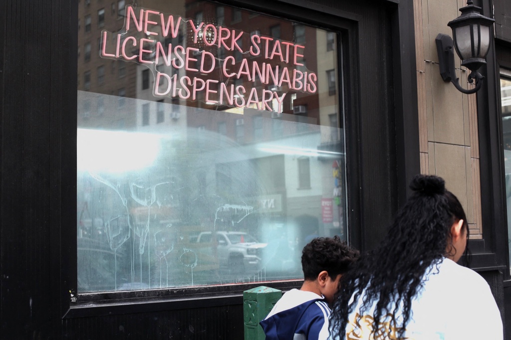 new york cannabis dispensary licensing