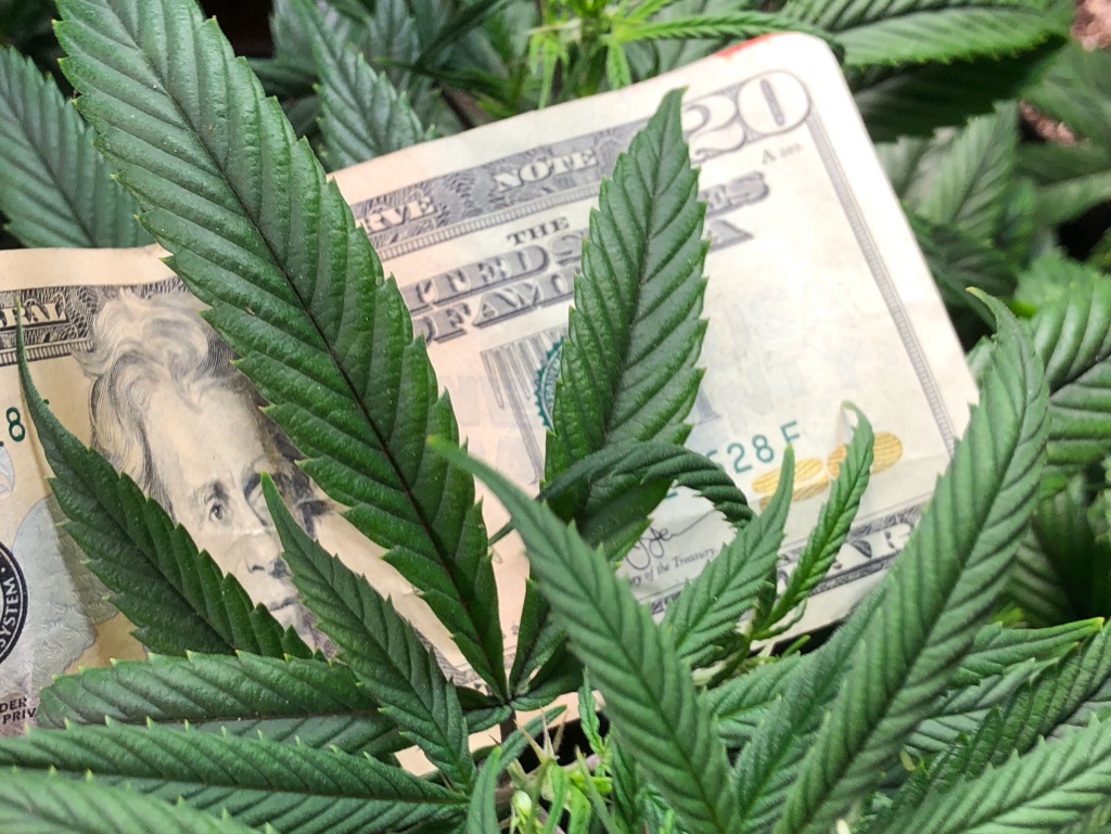 currency and cannabis green wednesday dispensaries