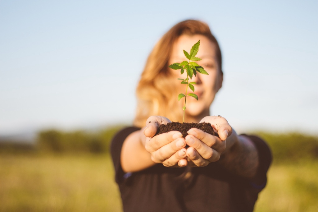 woman holding cannabis plant seeds of change grant