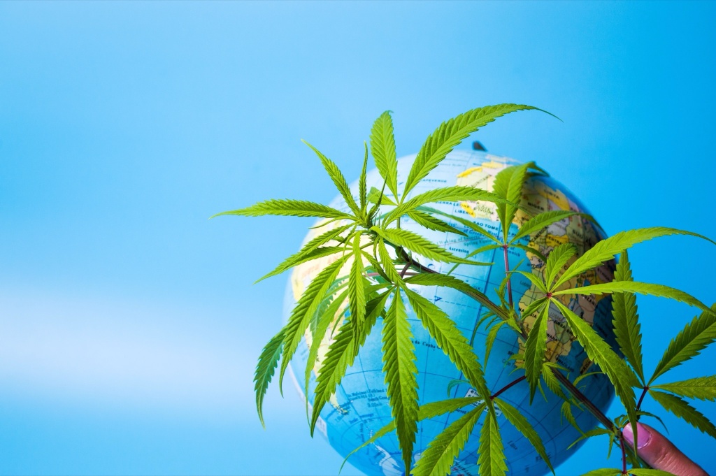 globe with cannabis leaves international mjbizcon is coming