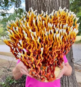 fungi florist bouquet