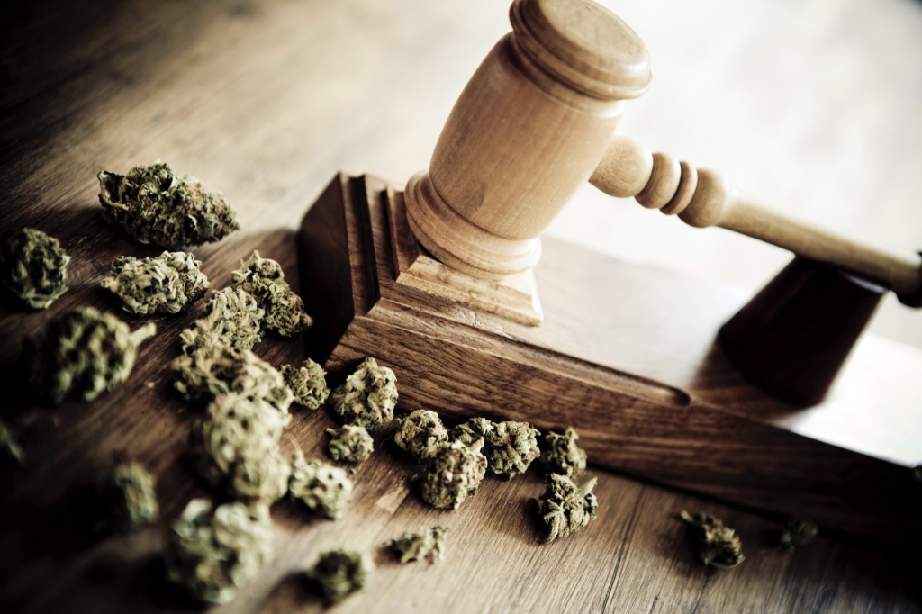 gavel cannabis new hemp ban