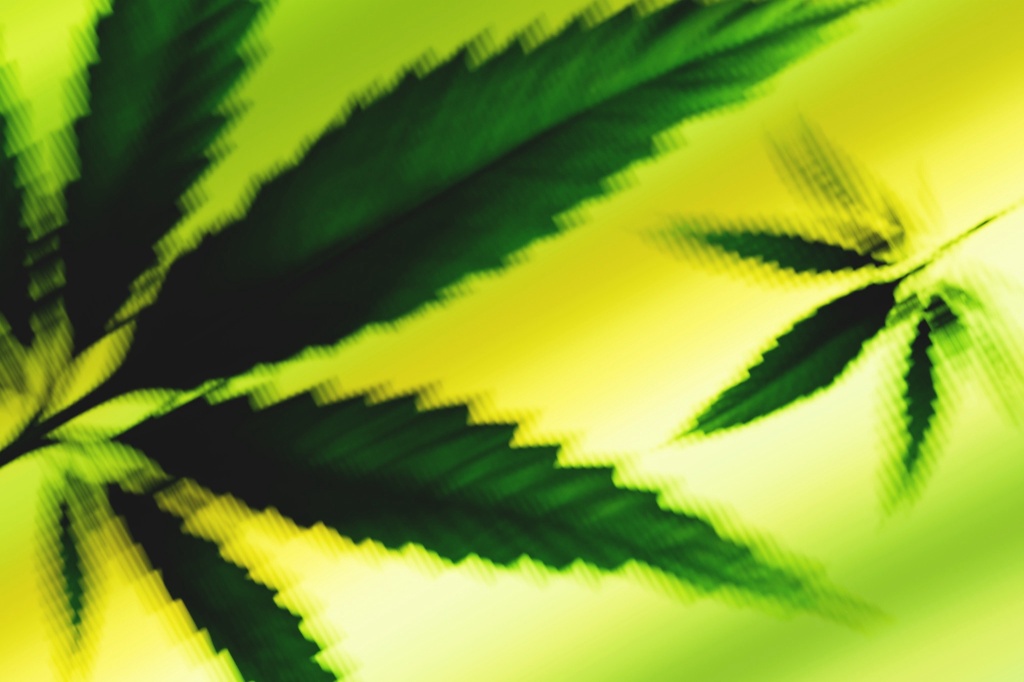 blurred cannabis background