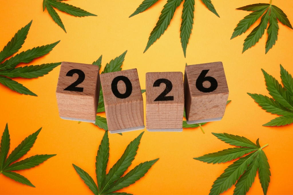 2026 over cannabis leaves