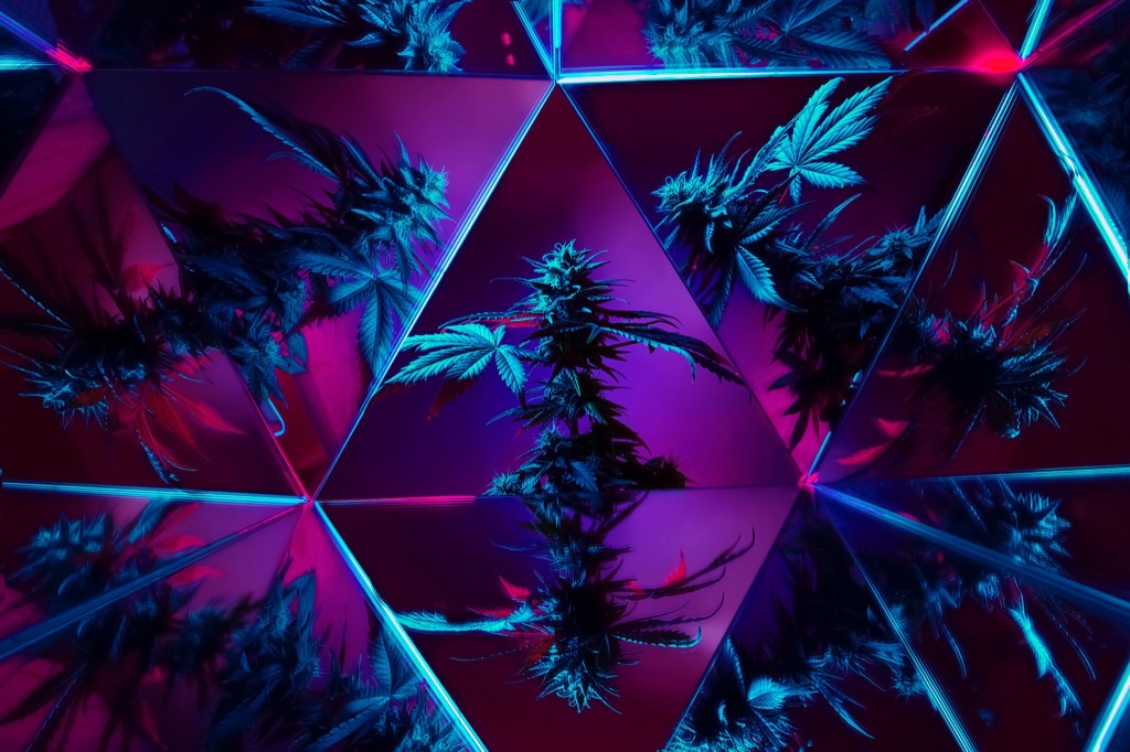 cannabis plant with futuristic design weed in 2050