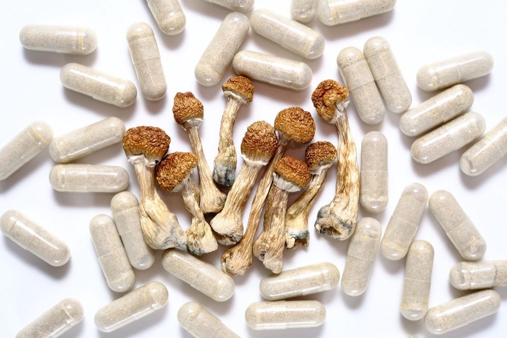 psilocybin mushrooms psychedelic microdosing