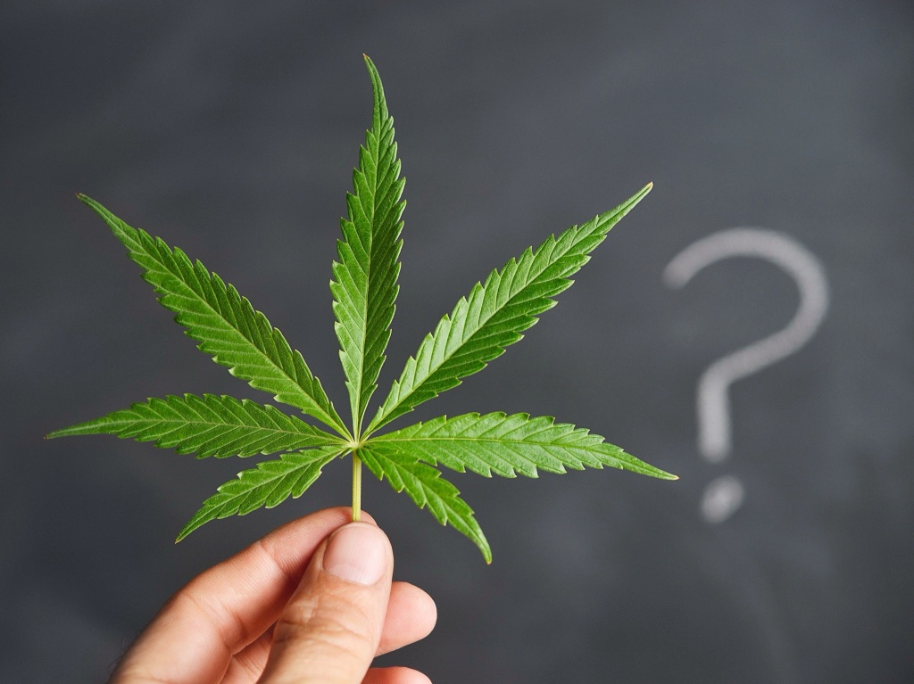 cannabis leaf and question mark cannabinoid products confusion