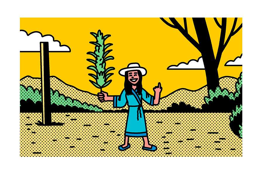 legalization nation 273 preview