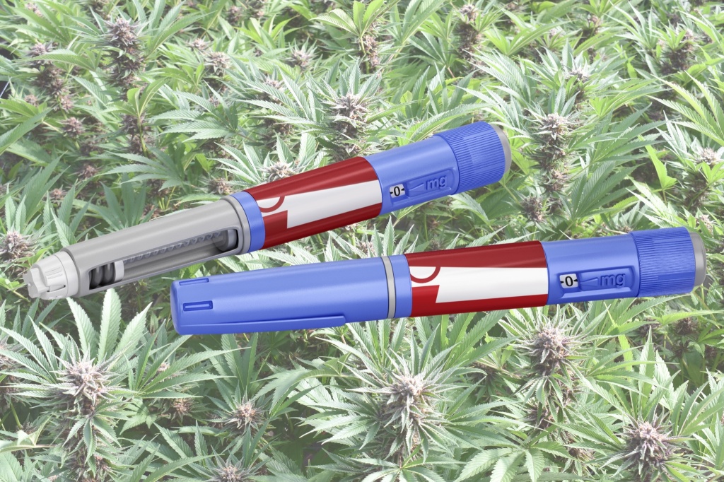 ozempic and cannabis
