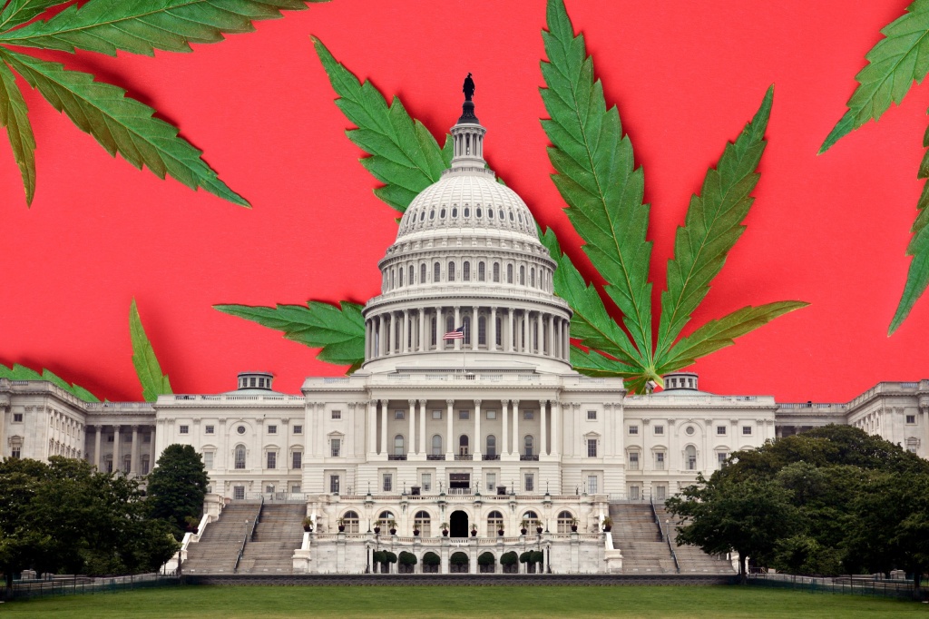 congress cannabis leaves new hemp bill