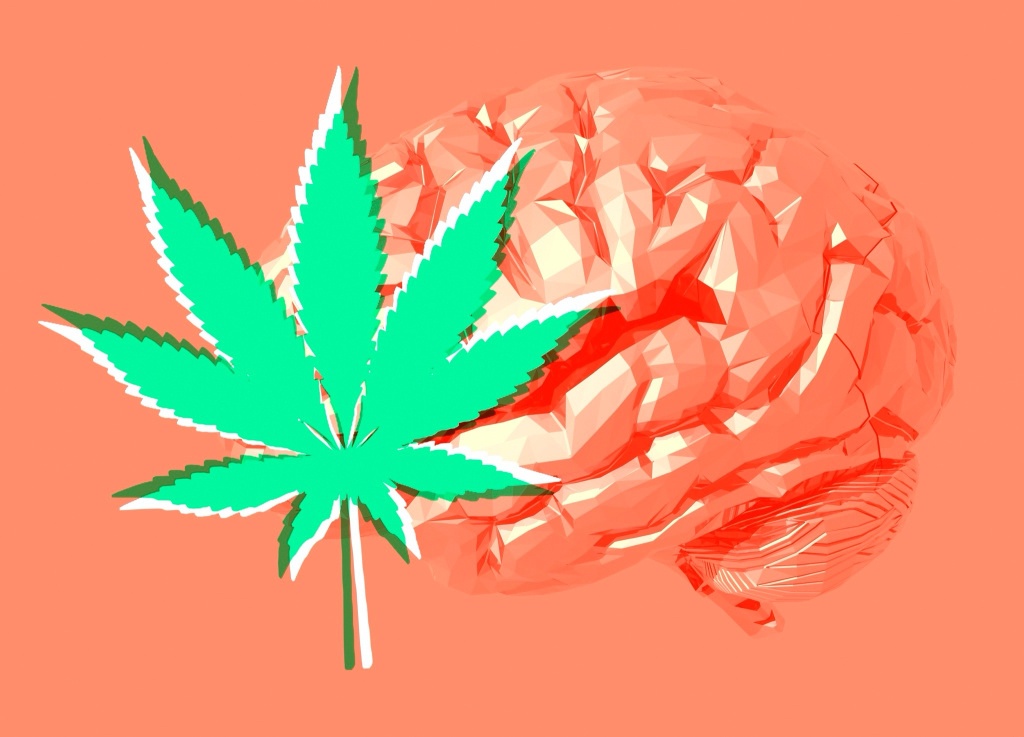 cannabis leaf over brain cannabis and memory loss