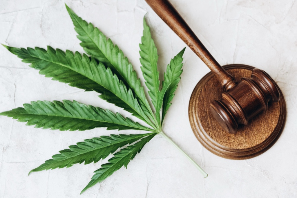 cannabis leaf next to gavel november hemp ban debate