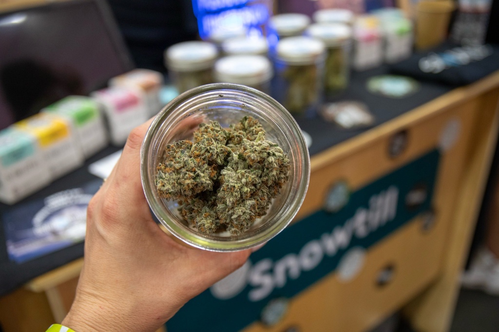 snowtill flower at hall of flowers ventura 2026