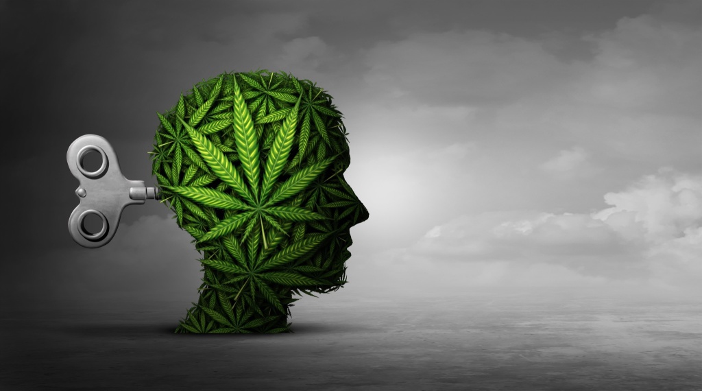cannabis leaves on head weed memories study