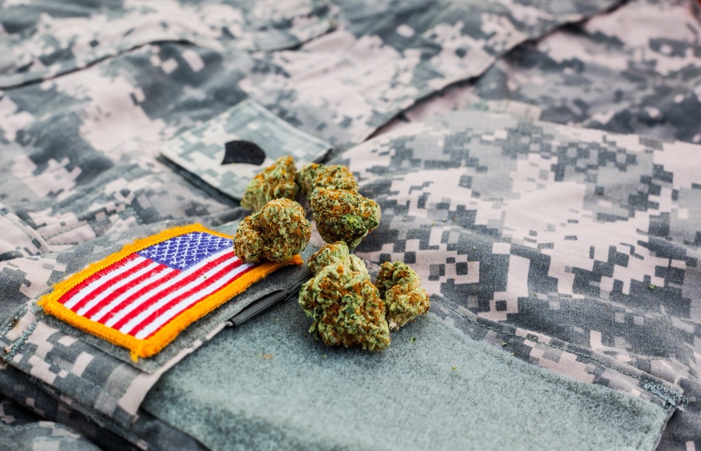cannabis buds on military uniform army recruitment cannabis policy