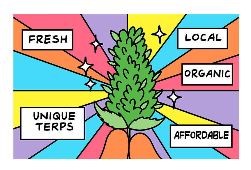 legalization nation 281 preview