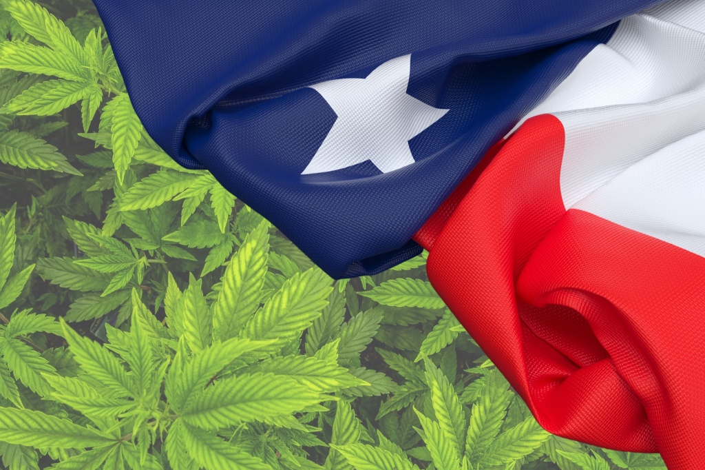 texas flag over cannabis leaves texas marijuana legalization