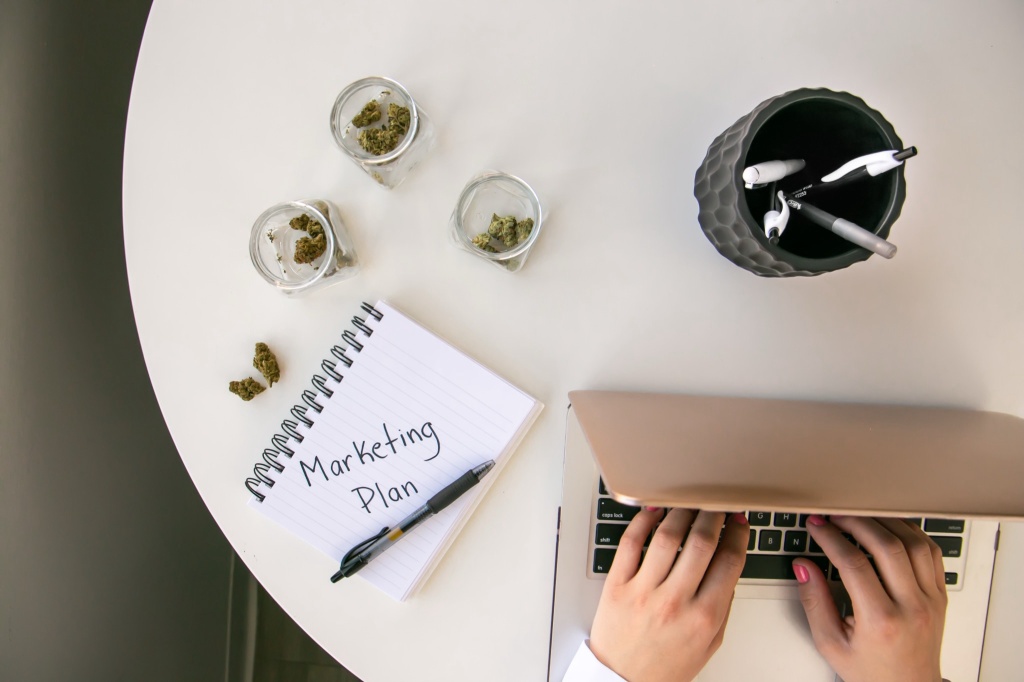 person on laptop with buds future cannabis marketing
