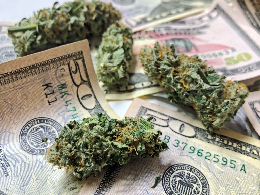 cannabis buds on currency most popular cannabis product