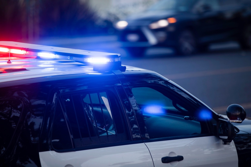 police car cannabis crime study shows impact of legalization