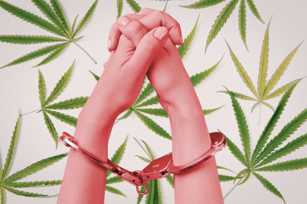 hands in handcuffs over cannabis leaves weed bust dream job