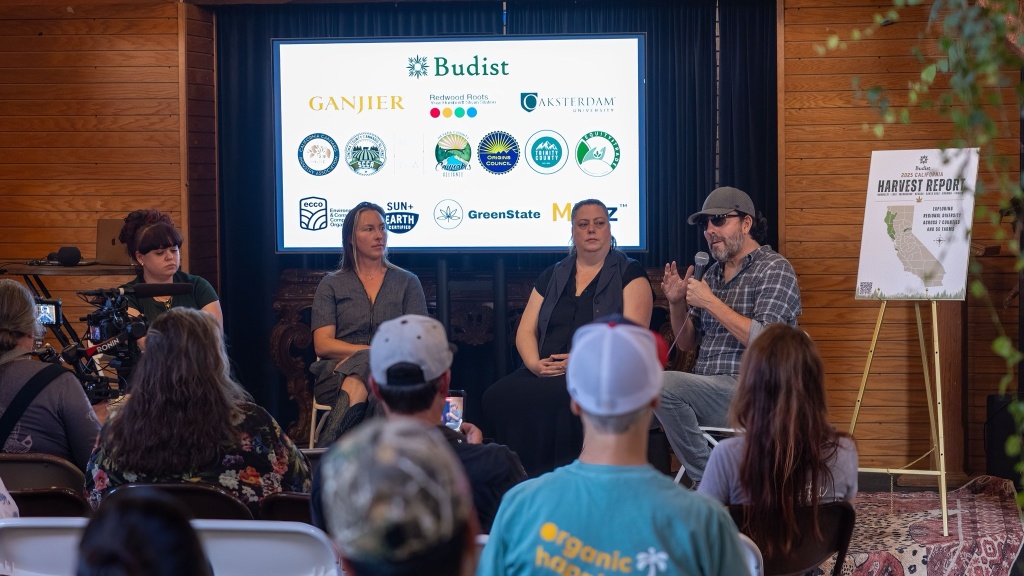 panel at harvest report cannabis event