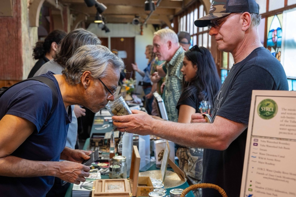 someone smells a cannabis jar at the 2025 harvest report