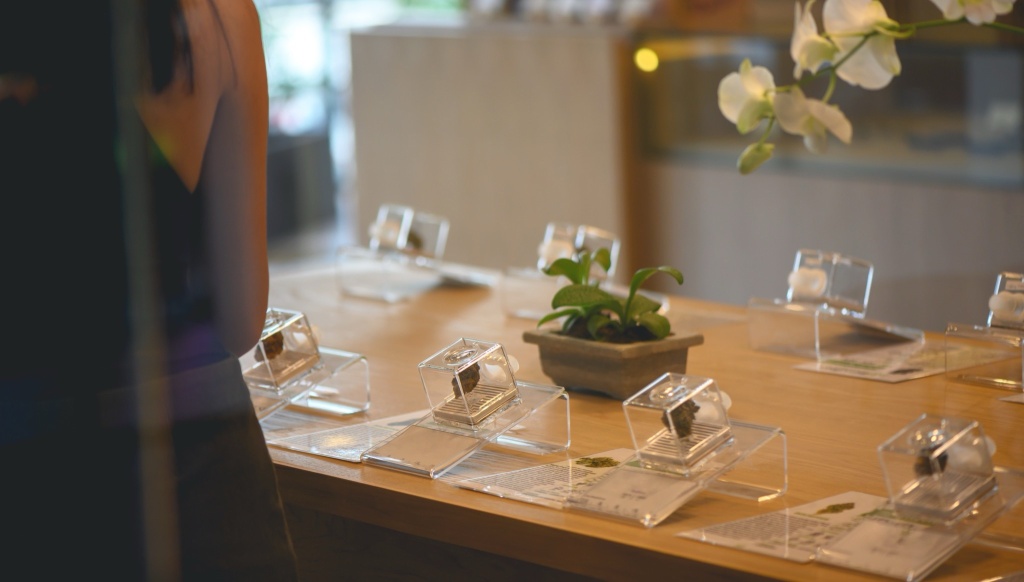 person shops at cannabis dispensary brand loyalty
